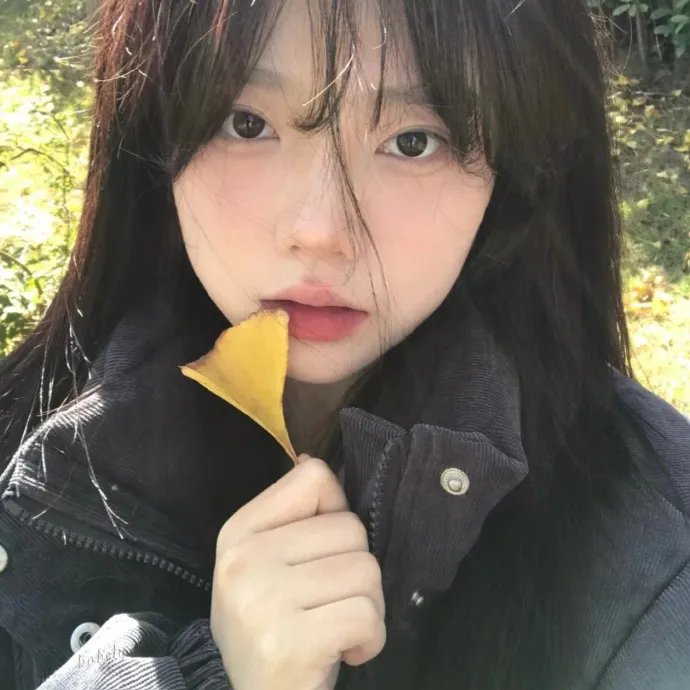 拥抱太阳的月亮海报